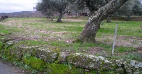 Terreno  Venda em Ferro,Covilhã