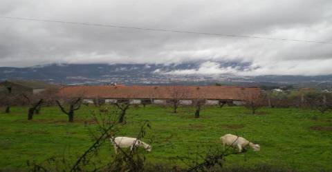 Terreno  Venda em Ferro,Covilhã