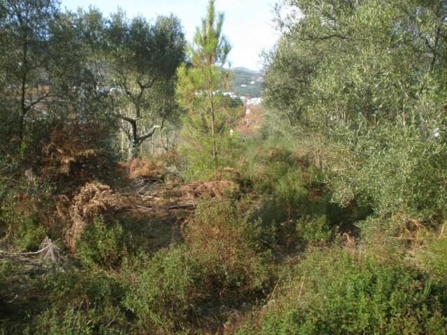 Quinta  Venda em Boidobra,Covilhã