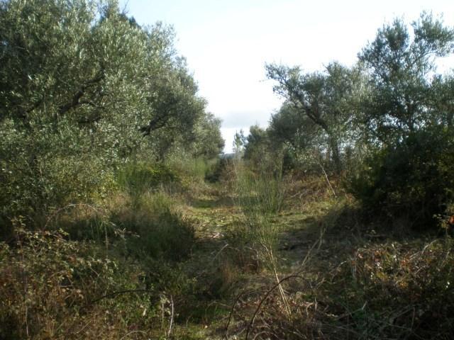 Quinta  Venda em Boidobra,Covilhã