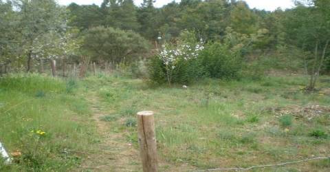 Quinta  Venda em Dominguizo,Covilhã