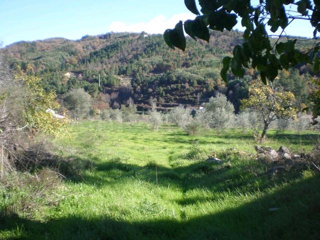 Terreno  Venda em Teixoso e Sarzedo,Covilhã