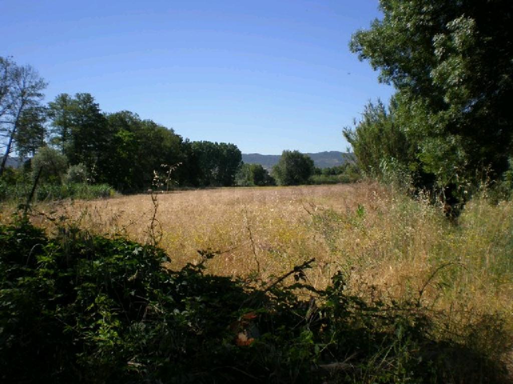 Quinta  Venda em Covilhã e Canhoso,Covilhã