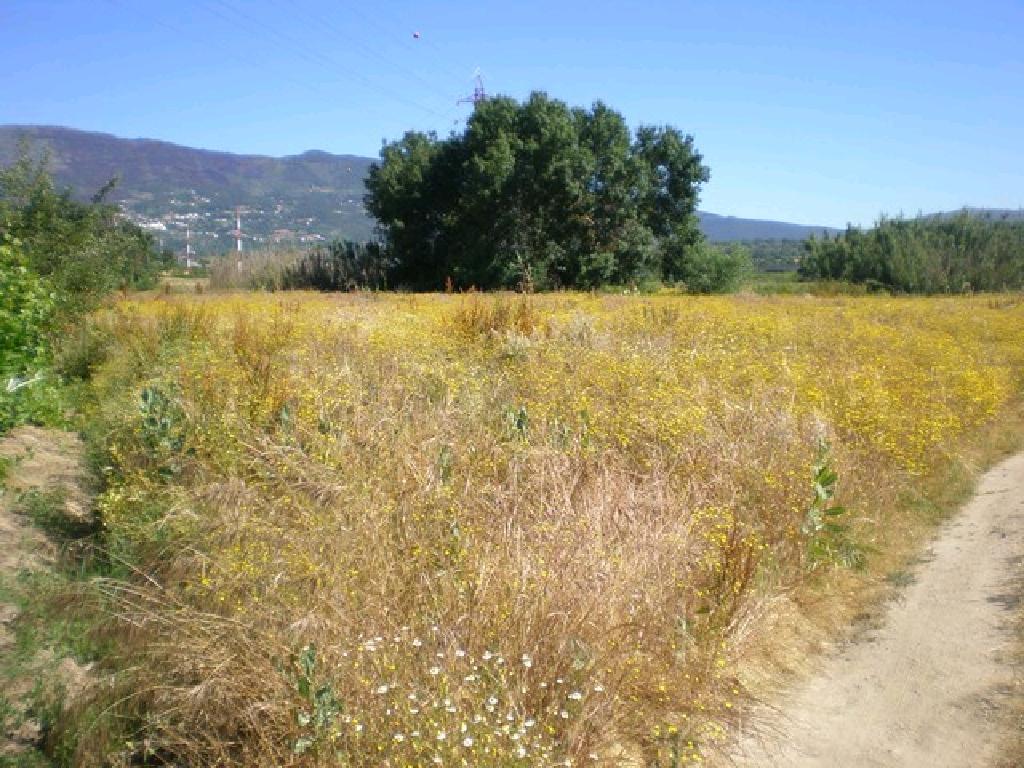 Quinta  Venda em Covilhã e Canhoso,Covilhã