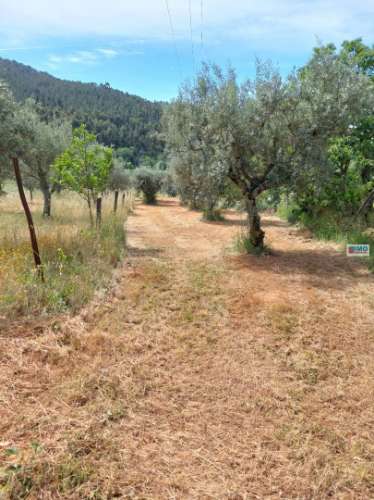 Terreno - Taliscas - Paul