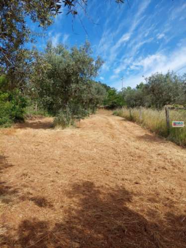 Terreno - Taliscas - Paul