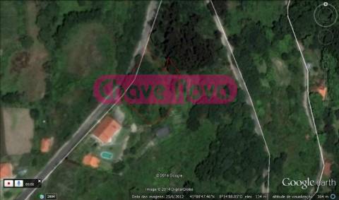 Terreno Rústico  Venda em Luzim e Vila Cova,Penafiel