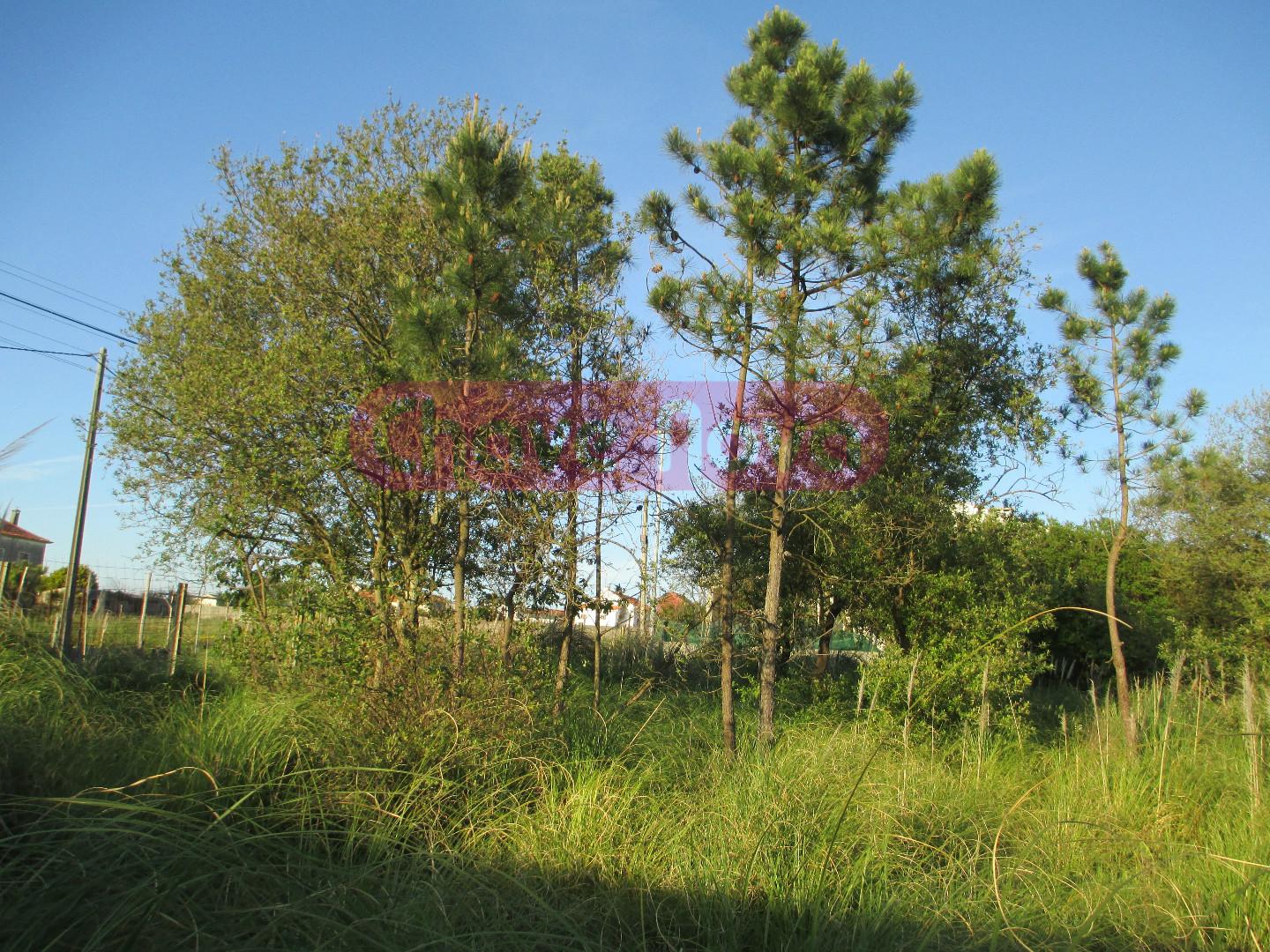 Lote de Terreno  Venda em Gulpilhares e Valadares,Vila Nova de Gaia