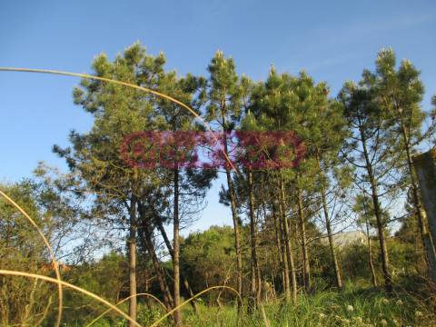 Lote de Terreno  Venda em Gulpilhares e Valadares,Vila Nova de Gaia