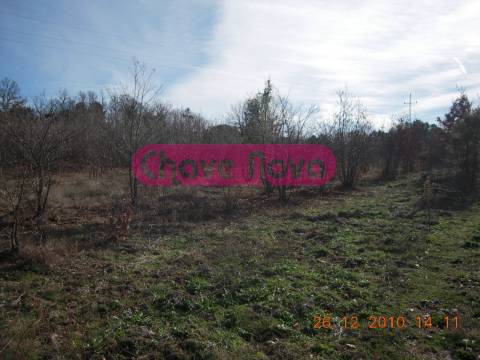 Quinta  Venda em Valtorno e Mourão,Vila Flor