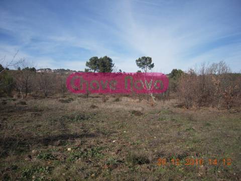 Quinta  Venda em Valtorno e Mourão,Vila Flor