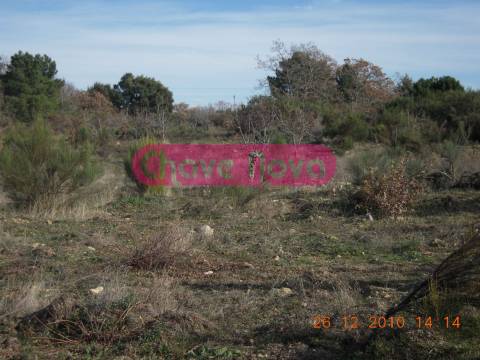 Quinta  Venda em Valtorno e Mourão,Vila Flor