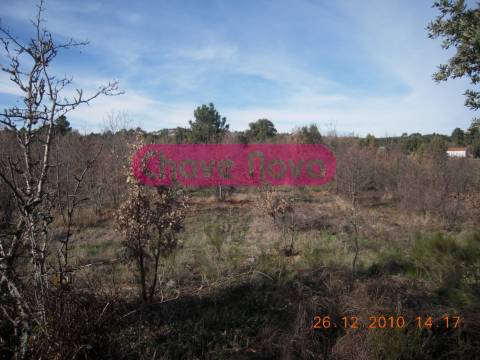 Quinta  Venda em Valtorno e Mourão,Vila Flor