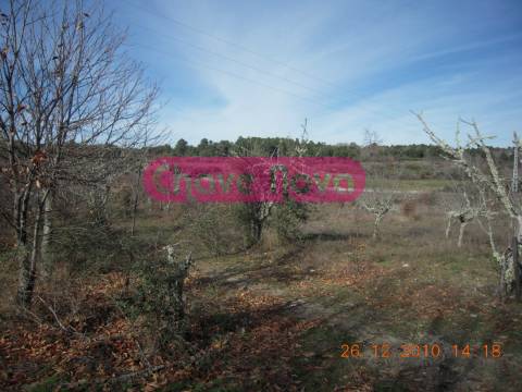 Quinta  Venda em Valtorno e Mourão,Vila Flor