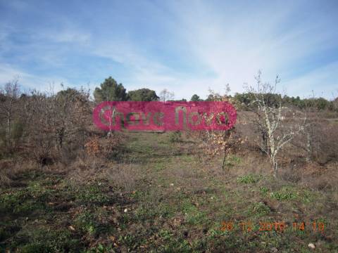 Quinta  Venda em Valtorno e Mourão,Vila Flor