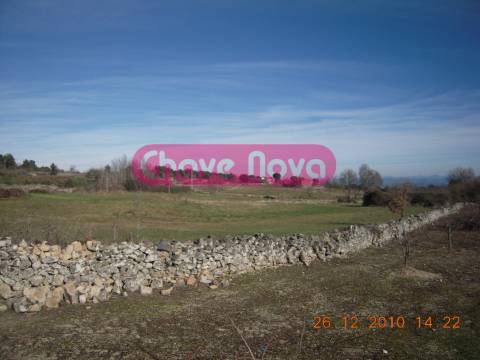 Quinta  Venda em Valtorno e Mourão,Vila Flor