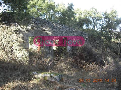 Quinta  Venda em Valtorno e Mourão,Vila Flor