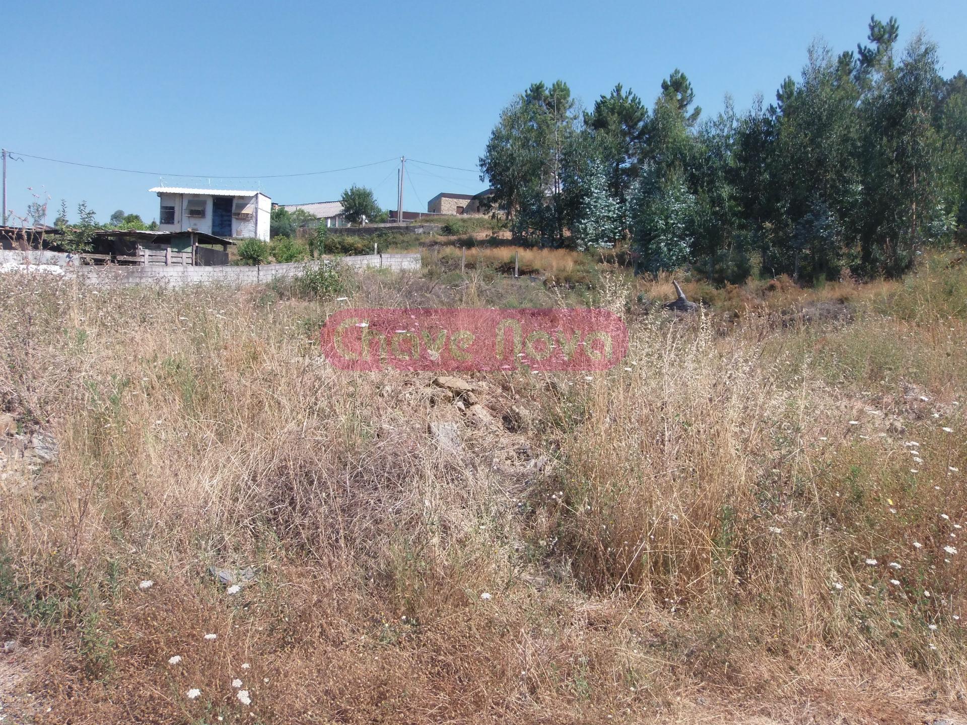 Lote de Terreno  Venda em Gandra,Paredes