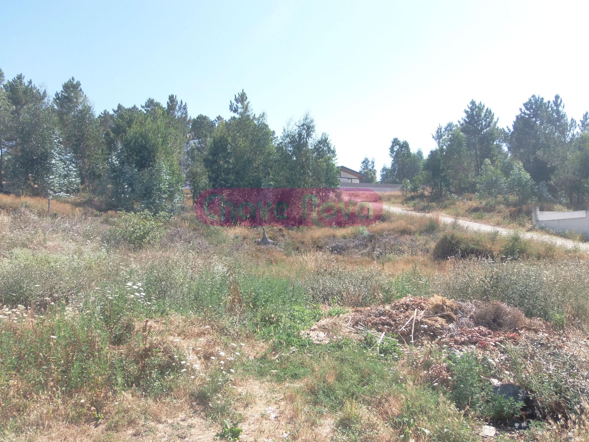 Lote de Terreno  Venda em Gandra,Paredes