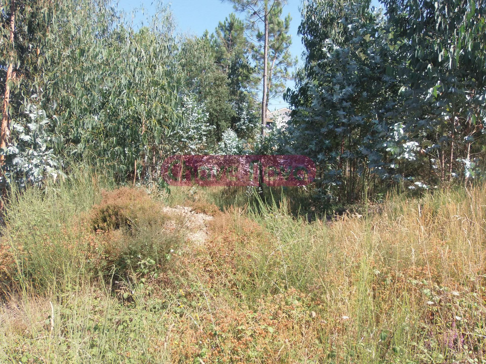 Lote de Terreno  Venda em Gandra,Paredes