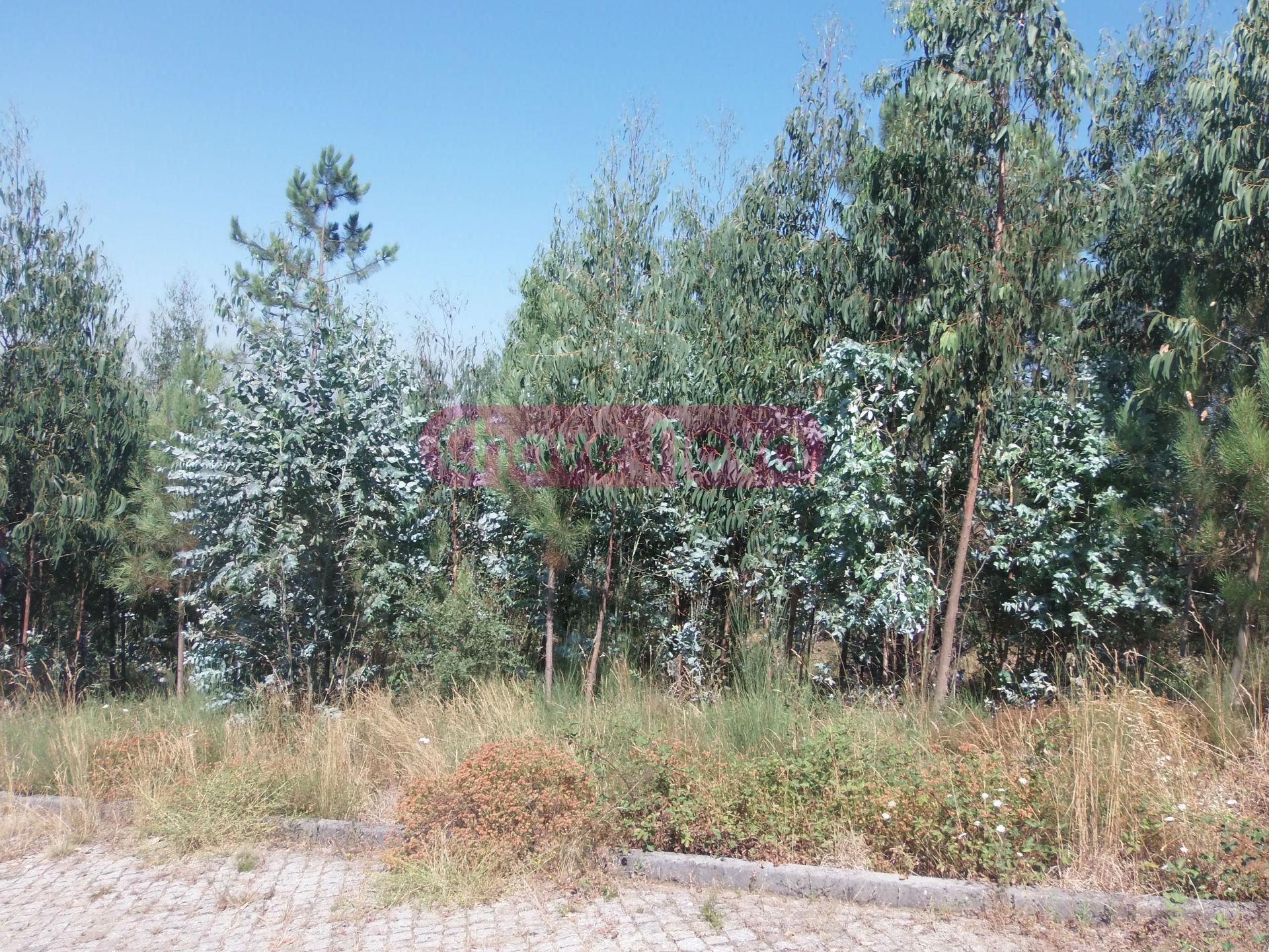 Lote de Terreno  Venda em Gandra,Paredes