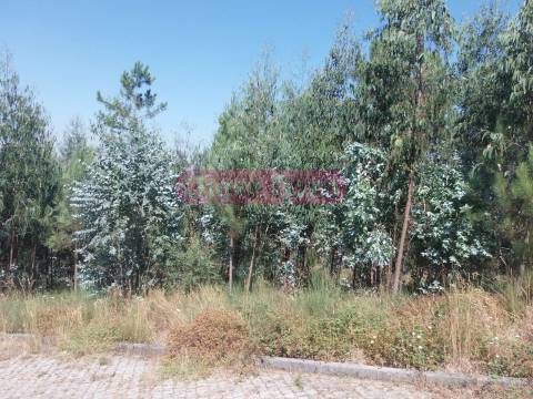 Lote de Terreno  Venda em Gandra,Paredes