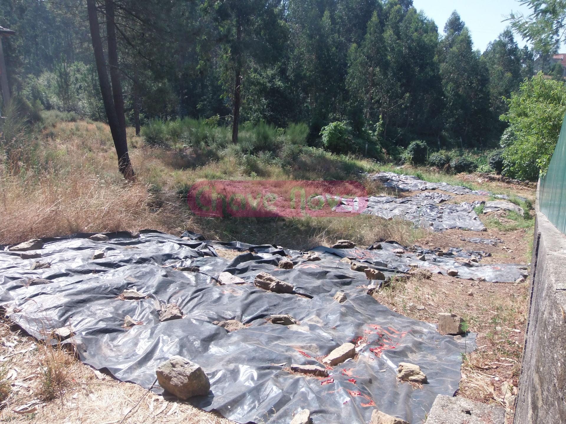 Lote de Terreno  Venda em Gandra,Paredes