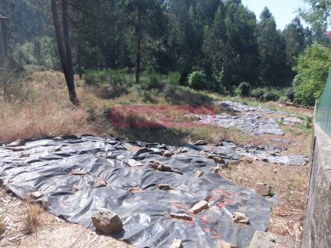 Lote de Terreno  Venda em Gandra,Paredes