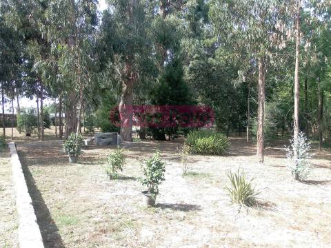 Café  Arrendamento em Cidade da Maia,Maia