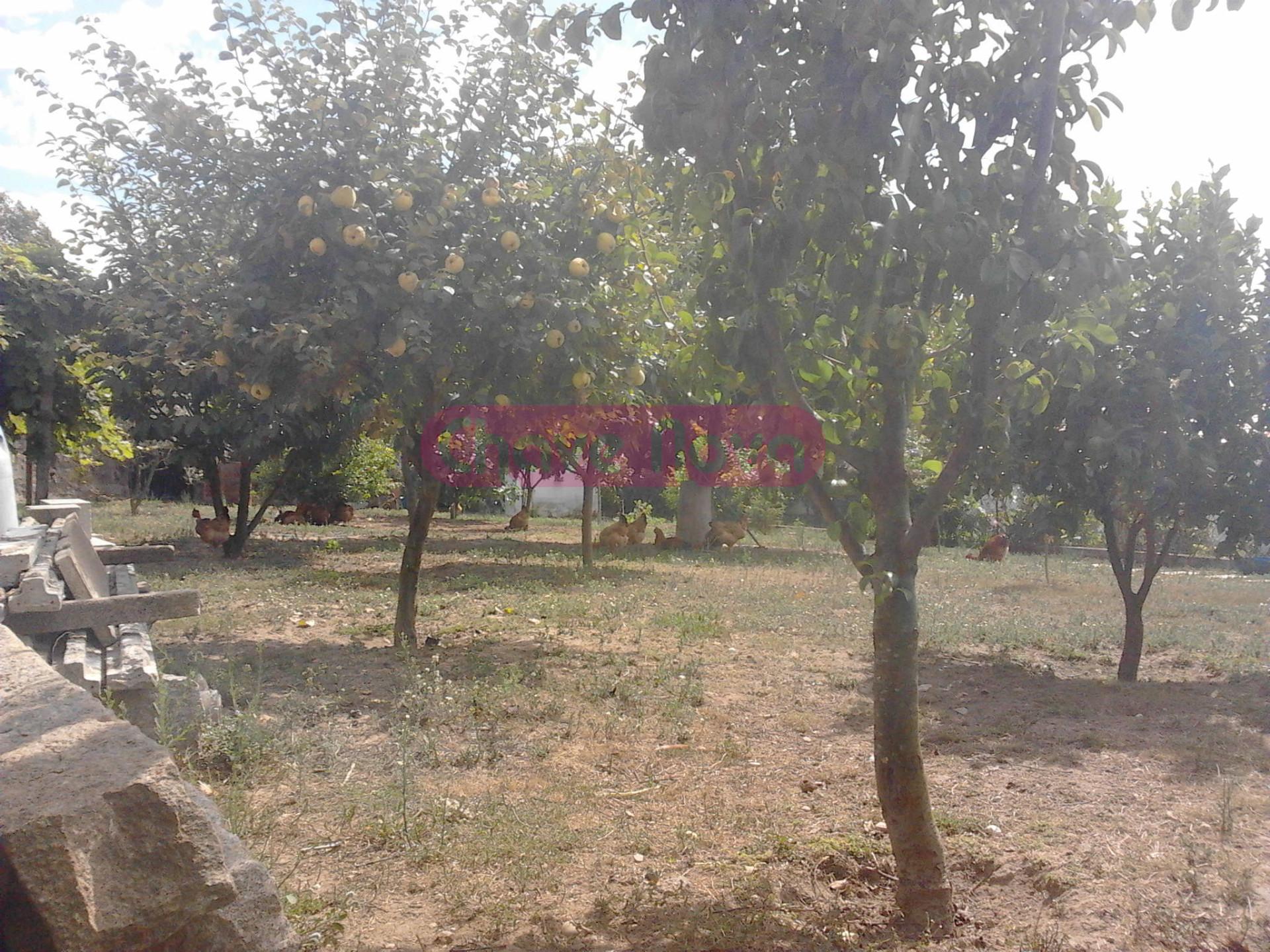 Lote de Terreno  Venda em Canidelo,Vila Nova de Gaia