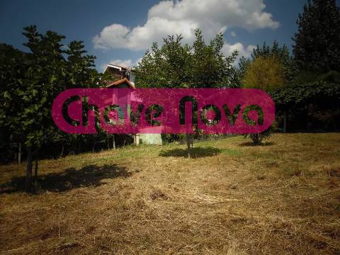 Moradia Isolada T3 Venda em Teixeira e Teixeiró,Baião