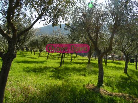 Moradia Isolada T3 Venda em Teixeira e Teixeiró,Baião