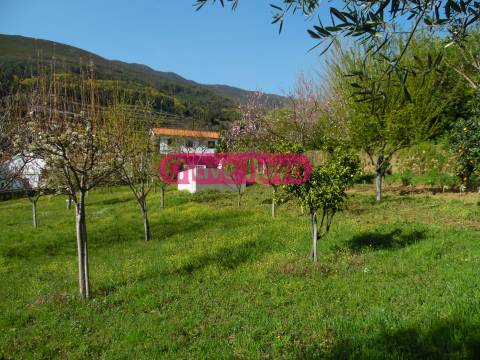 Moradia Isolada T3 Venda em Teixeira e Teixeiró,Baião