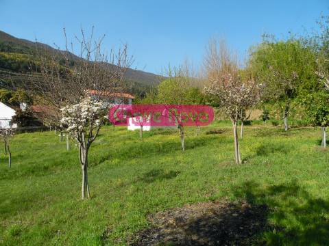 Moradia Isolada T3 Venda em Teixeira e Teixeiró,Baião