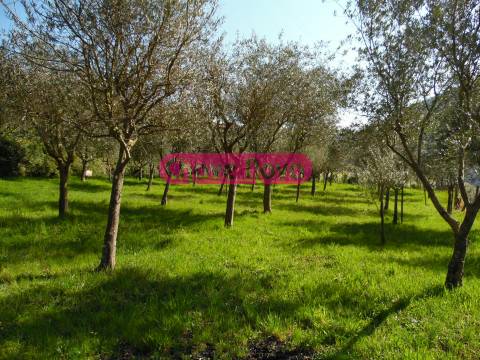 Moradia Isolada T3 Venda em Teixeira e Teixeiró,Baião