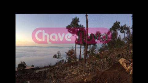 Terreno Rústico  Venda em São Martinho de Mouros,Resende