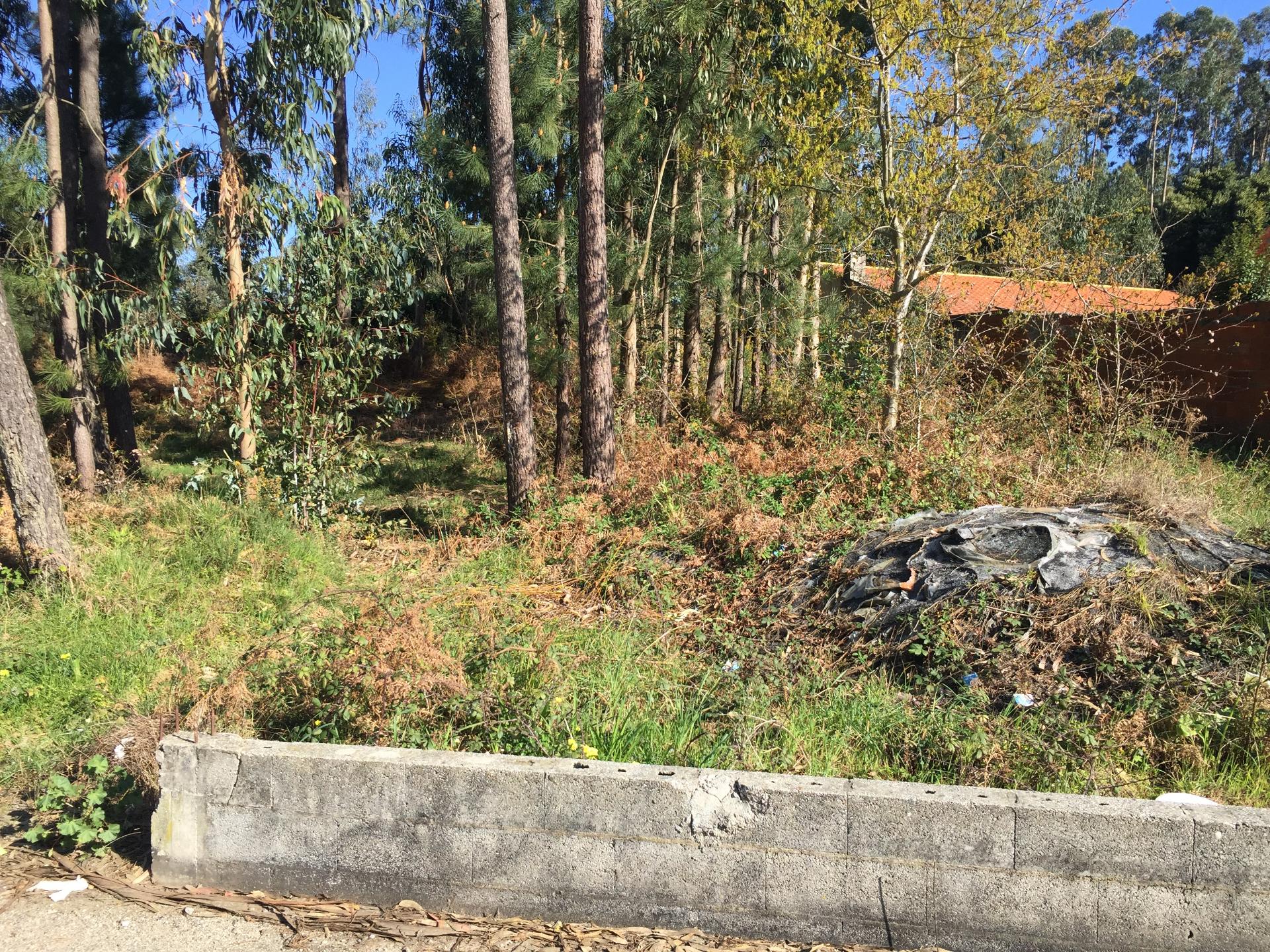 Lote de Terreno  Venda em Anta e Guetim,Espinho