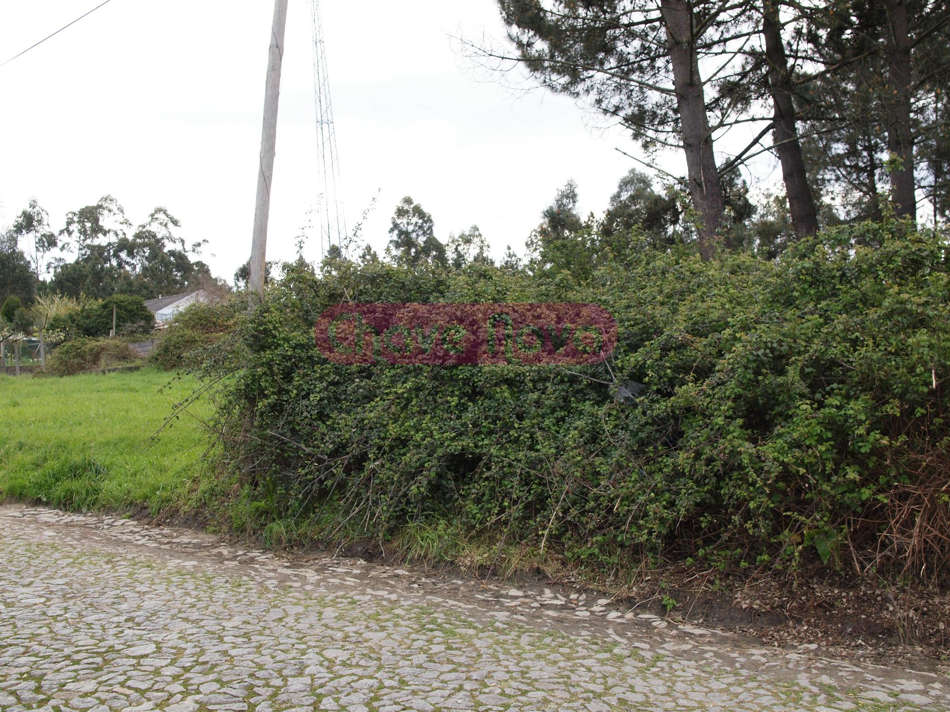 Lote de Terreno  Venda em Sobreira,Paredes