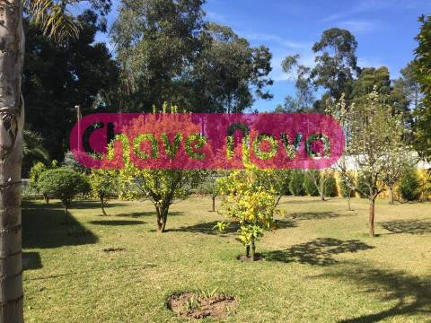 Moradia Isolada  Venda em Canedo, Vale e Vila Maior,Santa Maria da Feira