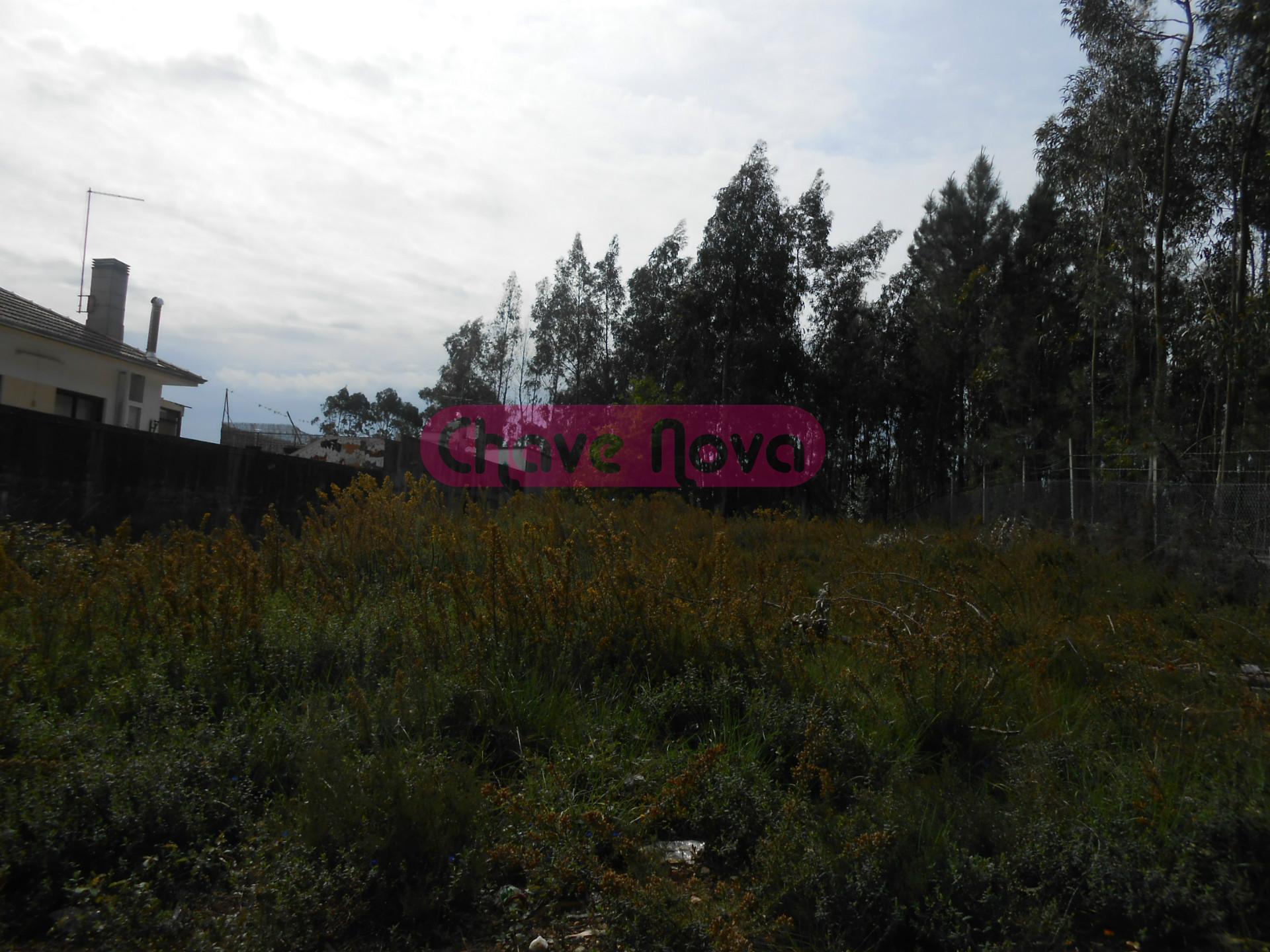 Terreno Urbano  Venda em Sandim, Olival, Lever e Crestuma,Vila Nova de Gaia