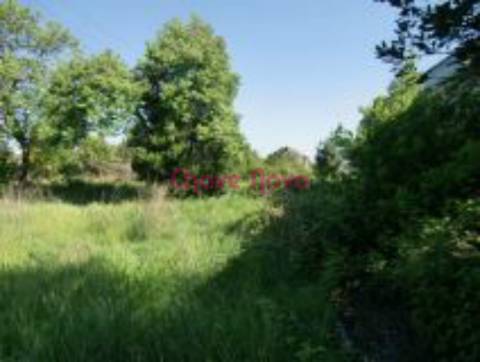 Lote de Terreno  Venda em Rio Tinto,Gondomar