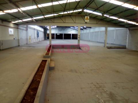 Armazém  Venda em Fornos,Santa Maria da Feira