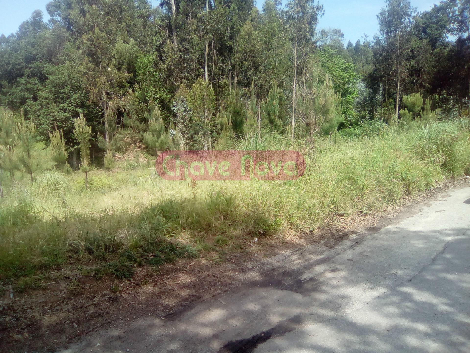 Lote de Terreno  Venda em Santa Maria da Feira, Travanca, Sanfins e Espargo,Santa Maria da Feira