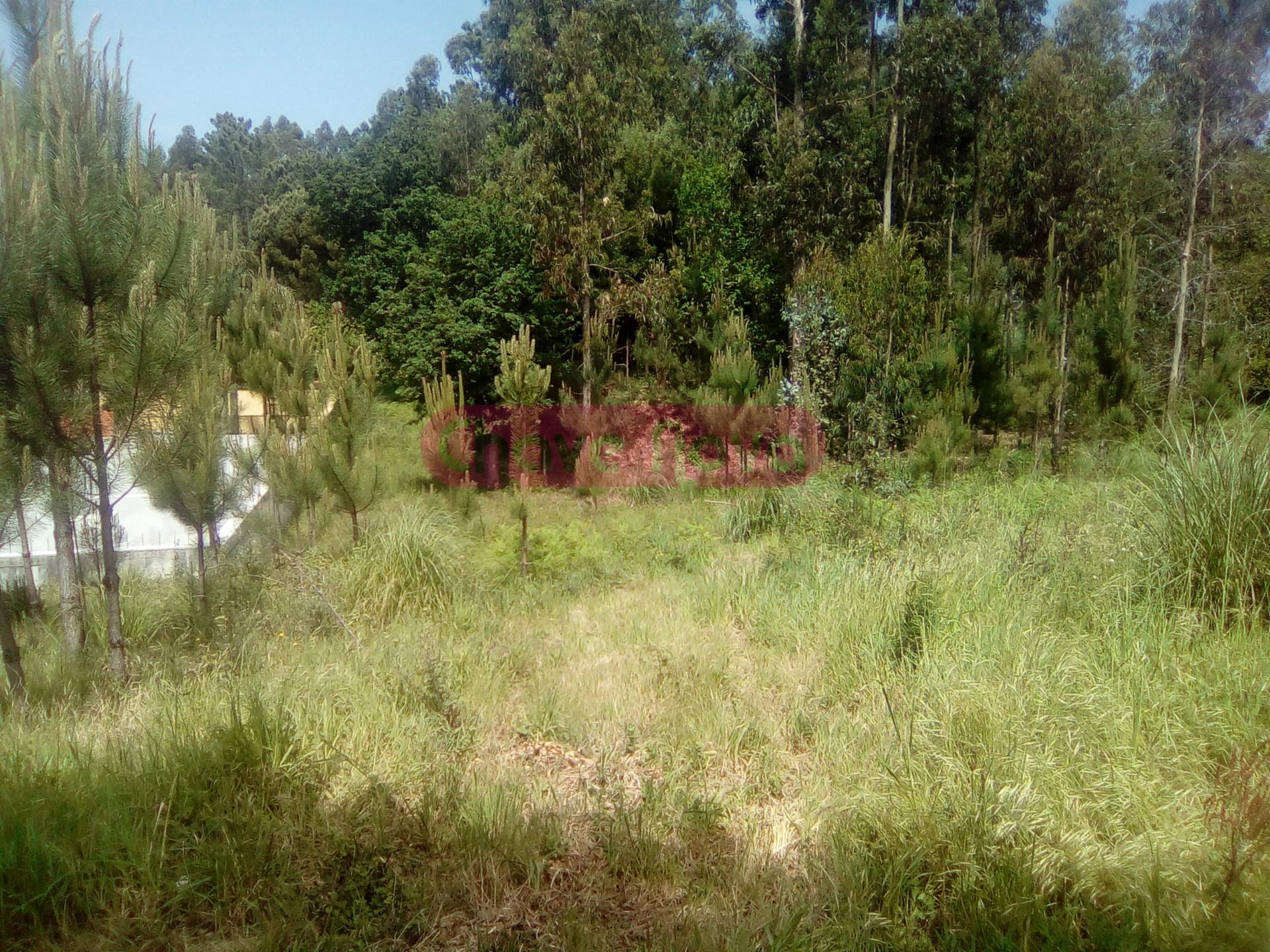 Lote de Terreno  Venda em Santa Maria da Feira, Travanca, Sanfins e Espargo,Santa Maria da Feira