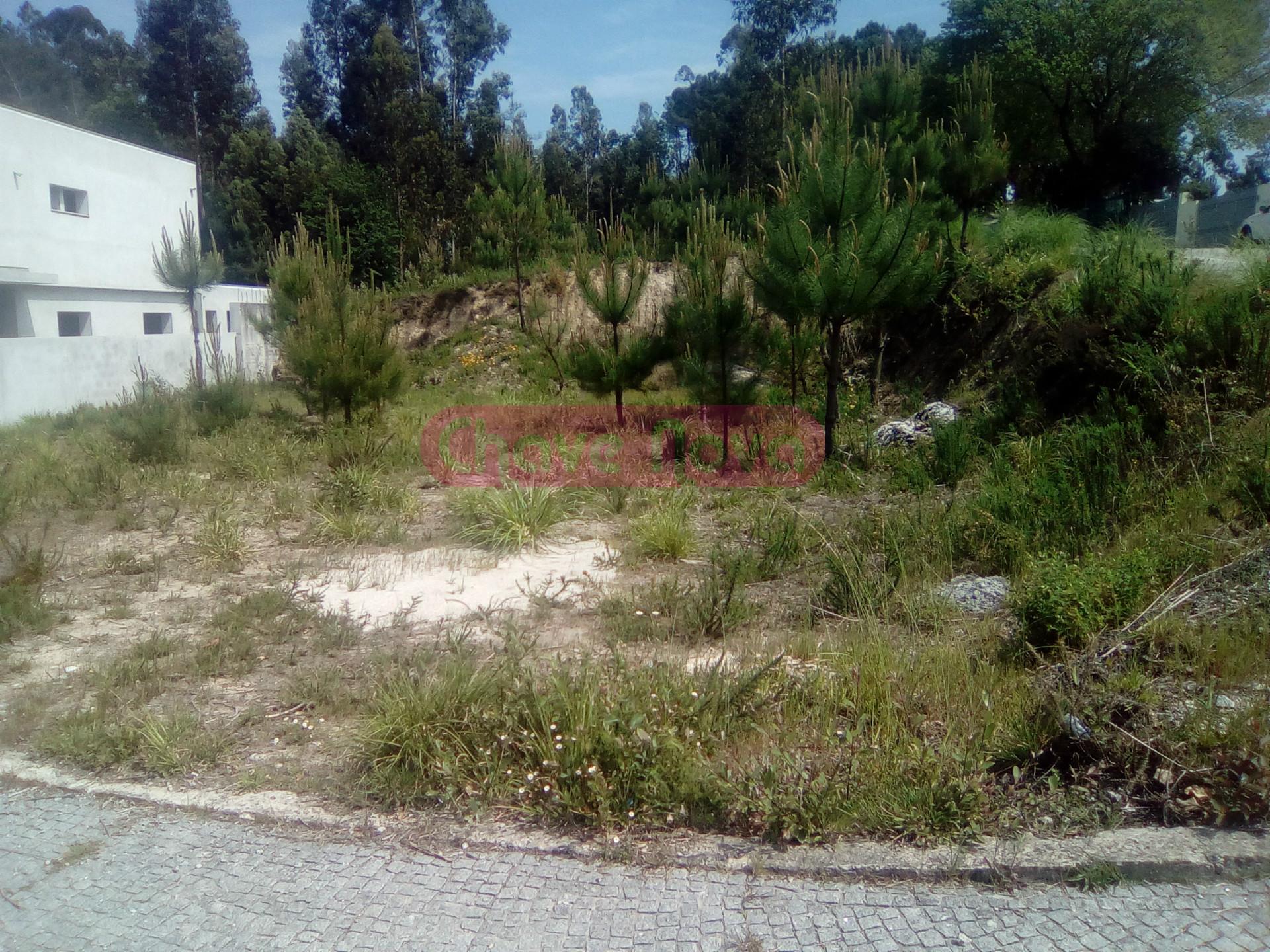 Lote de Terreno  Venda em Santa Maria da Feira, Travanca, Sanfins e Espargo,Santa Maria da Feira