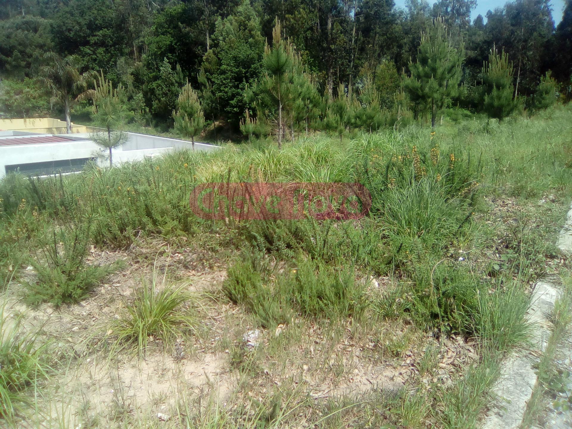 Lote de Terreno  Venda em Santa Maria da Feira, Travanca, Sanfins e Espargo,Santa Maria da Feira