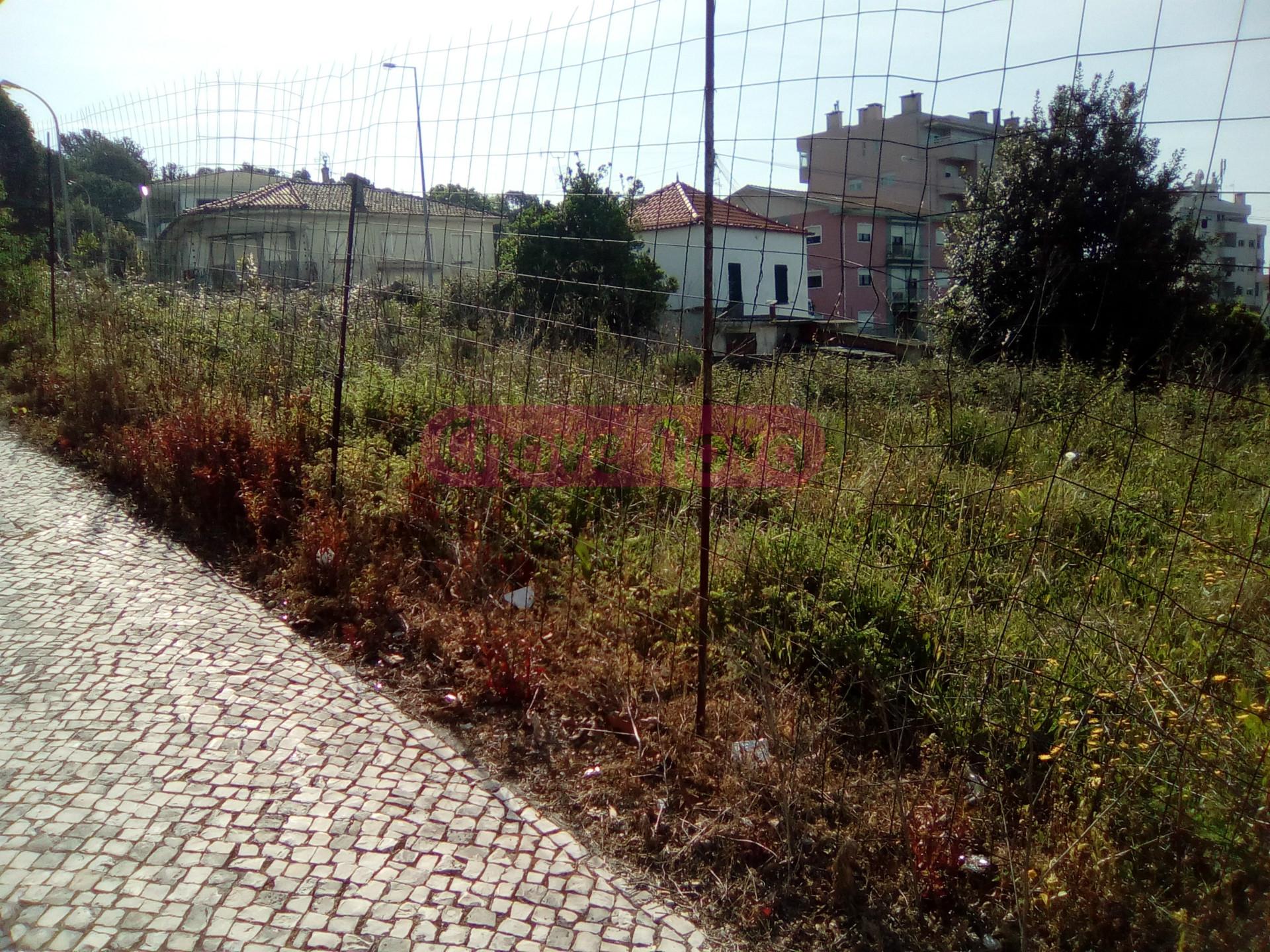 Lote de Terreno  Venda em São João da Madeira,São João da Madeira