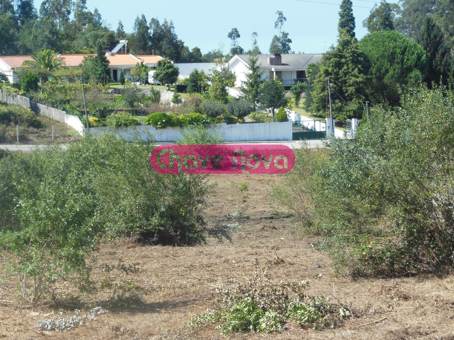 Terreno  Venda em Grijó e Sermonde,Vila Nova de Gaia