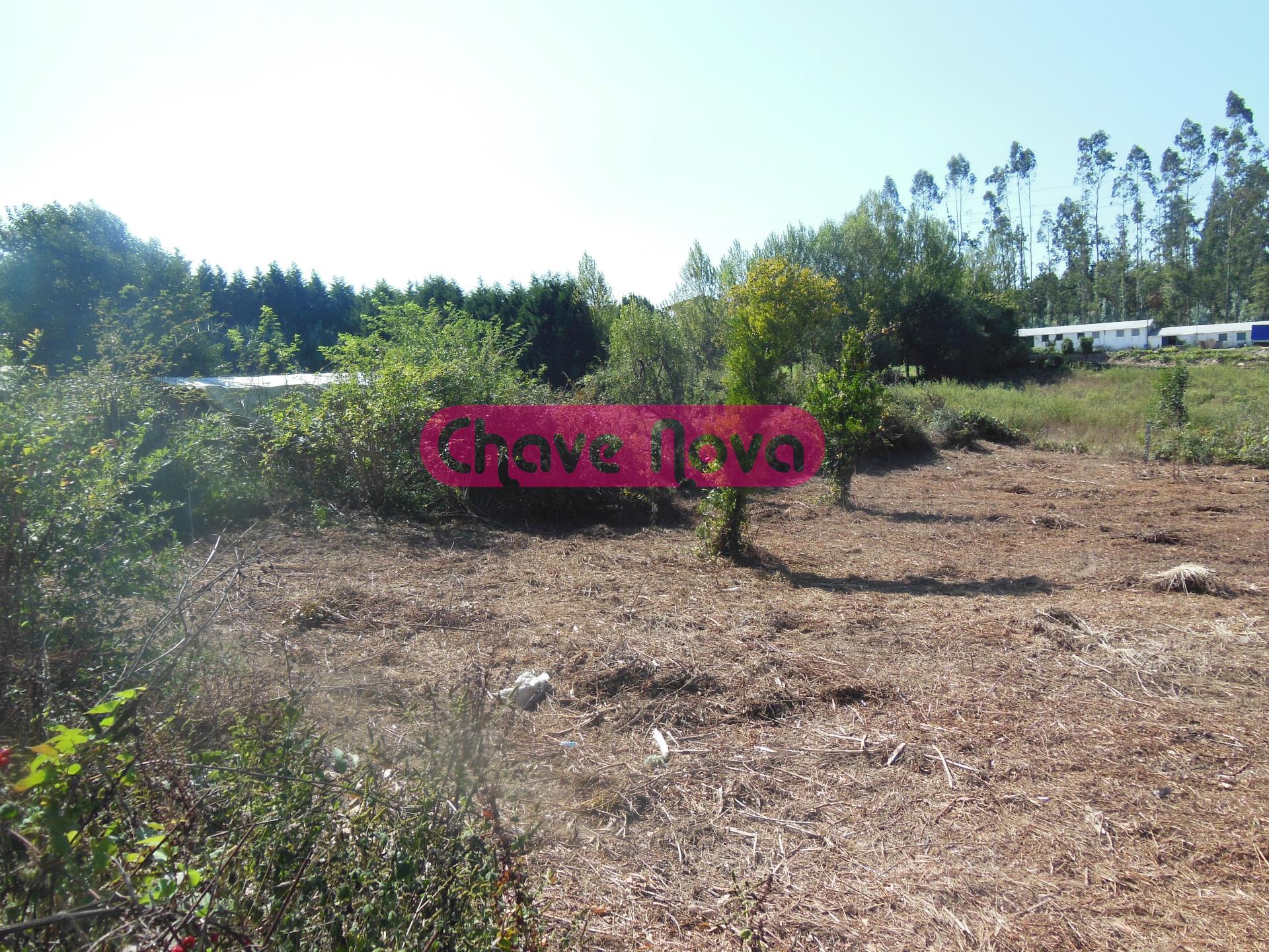 Terreno  Venda em Grijó e Sermonde,Vila Nova de Gaia