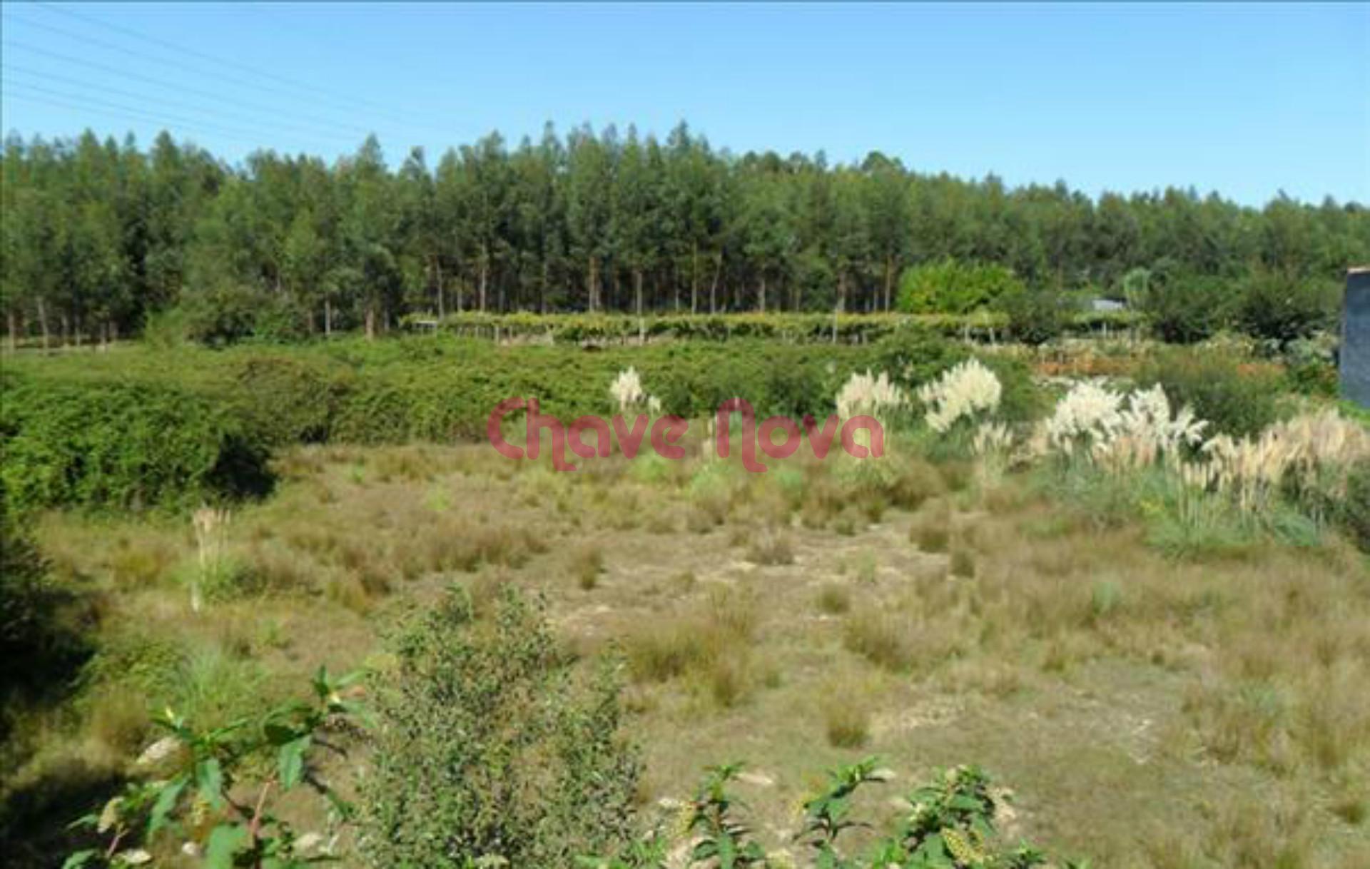 Lote de Terreno  Venda em Baguim do Monte (Rio Tinto),Gondomar